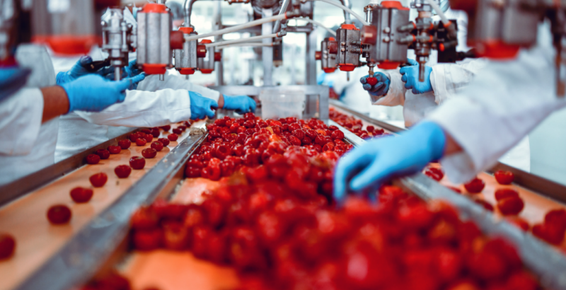 Sprague’s Integrated Pest Management: A Benchmark in Food Safety Audit Compliance